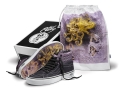 FA16_Vault_RobertWilliams_BP_Sk8-Hi38DeconLX_FlamingCobras_BagBoxSet