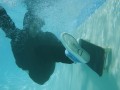 https-_hypebeast.com_image_2020_10_vans-half-cab-dime-004