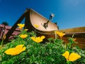 thumbnail_image003