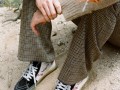 thumbnail_image003