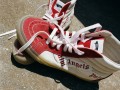 thumbnail_image004