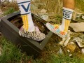 https-_hypebeast.com_image_2021_08_aries-vans-sk8-mid-authentic-chukka-era-release-details-05