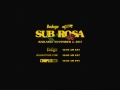 BODEGA VANS SUB ROSA 15